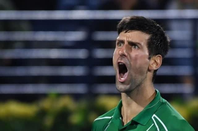 海姆冲击积 海姆冲击积