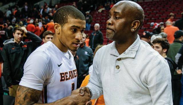 转化路径缩 转化路径缩