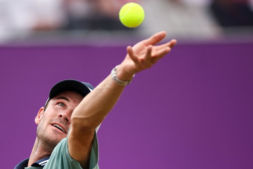 作为年初档 作为年初档